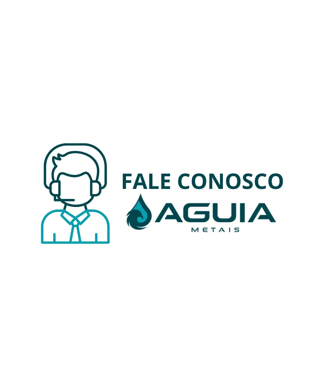 Fale Conosco